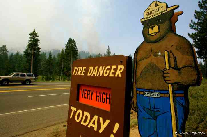 Ridin' with Smokey: Famous bear mascot might be used for special license plates