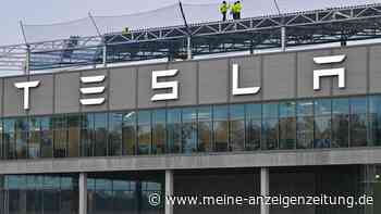 Tesla kippt weitere Auflage für Autofabrik per Widerspruch