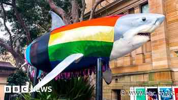 How Progress Shark became Australia's accidental World Pride icon
