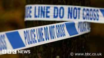 Van driver killed in Turgis Green petrol station crash