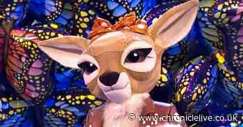 Masked Singer clues so far as Phoenix, Fawn and Rhino battle it out in final