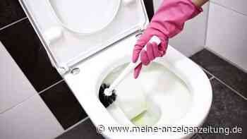 Ablagerungen in der Toilette entfernen: Drei Hausmittel machen das Klo wieder blitzblank