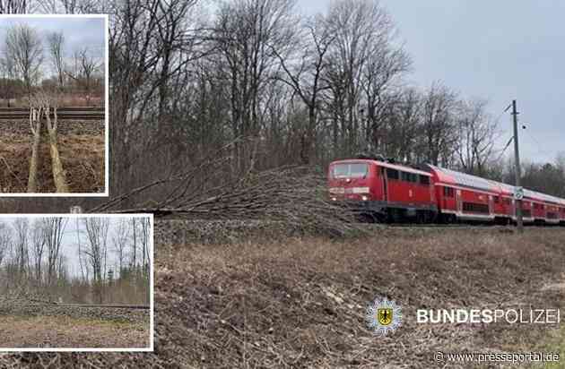 Bundespolizeidirektion München: Baum stürzt auf Oberleitungen - keine Verletzten: Bundespolizei ermittelt wegen gefährlichen Eingriffs in den Bahnverkehr