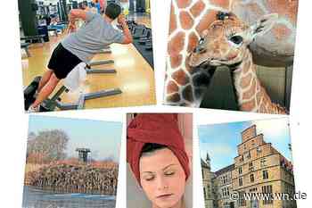 Rosenmontag ohne Narrenkappe: Tipps für Karnevalsmuffel