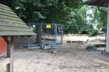 Im Stadtpark kreist die Säge