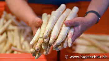 Landwirte und Gärtnereien kämpfen mit hohen Energiekosten