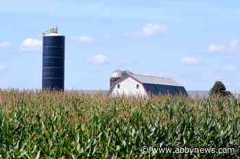 Applications open for agricultural grants in Abbotsford