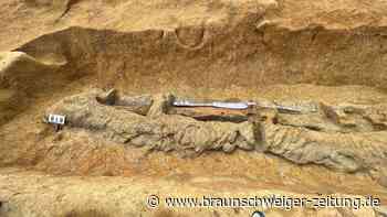 1600 Jahre altes Schwert in Grab entdeckt: Länge überrascht