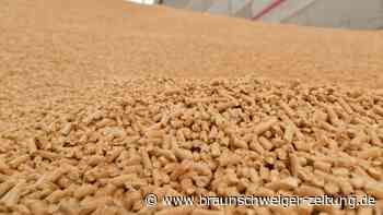 Das sind die aktuellen Pelletspreise (18. Februar) von heute