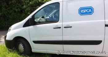 Dead puppy found dumped with 50 'appalling injuries' thought to have been used to dog fight