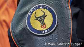 Gotthardtunnel nach kleinem Steinschlag bei Gurtnellen gesperrt