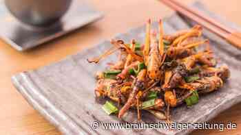 Insekten in Lebensmitteln: Diese Kennzeichen verraten es