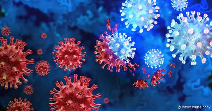 Could old coronavirus variants ever come back?
