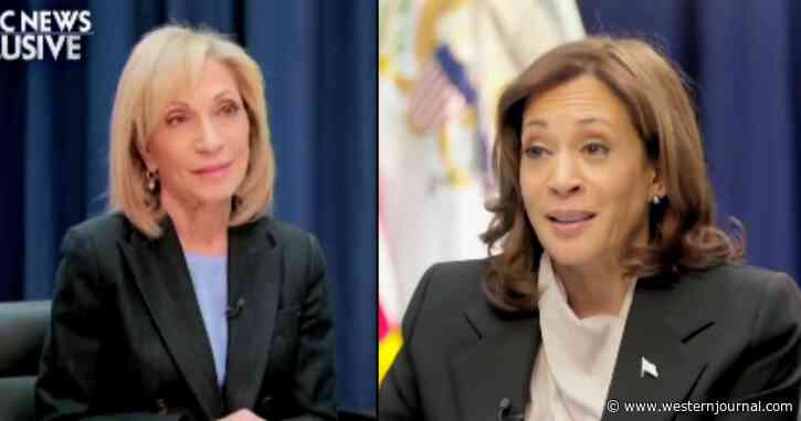 Andrea Mitchell's Face Says It All After Kamala Harris Wraps Up Interview with Word Salad