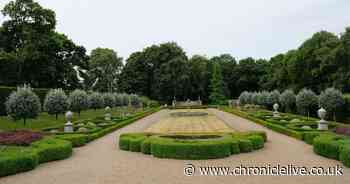 All the North East National Trust sites you can take your kids to - and what’s on during half term