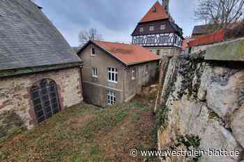 Esche am Brüderkirchhof in Warburg entfernt