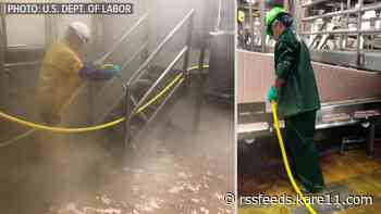 Nationwide child labor fine includes penalties at Minnesota meat processing plants