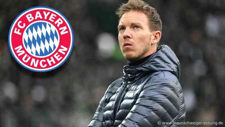 Nagelsmann entschuldigt sich bei Schiri Welz