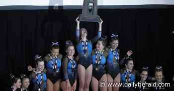Girls gymnastics: Bartnik, Bachara, Hinckley all win individual state event titles