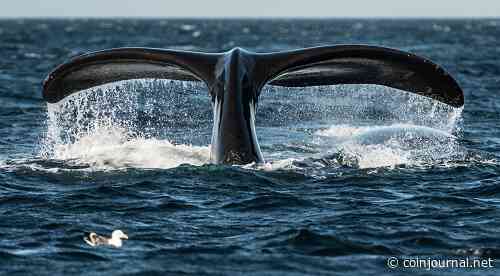 Jump is the ‘US trading firm’ that made $1.28 billion off LUNA: report