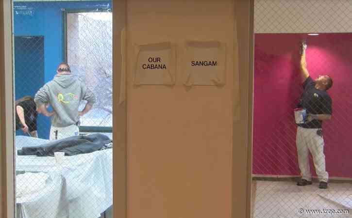 'Paint it Forward' award gifted to Albuquerque Girl Scouts