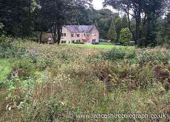 Despite objections, council approve 9 new homes details
