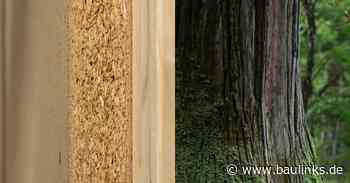 Weiterentwickelter Holztafelwerkstoff mit hohem Recyclinganteil von Pfleiderer