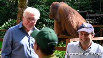 Steinmeier-Statement wir wegen Begegnung mit Orang-Utan abgebrochen