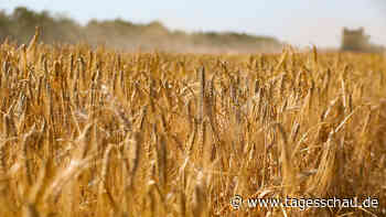 Liveblog: + Ukrainische Getreidelieferungen gehen zurück +