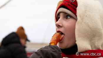 Festival du Voyageur a celebration of culture and community