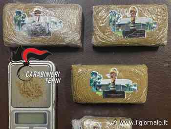 Reddito 5S e spaccio: ecco il pusher del "fumo della Coppa del Mondo"