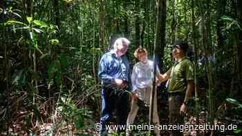 Steinmeier lobt Malaysia für Klimaschutz
