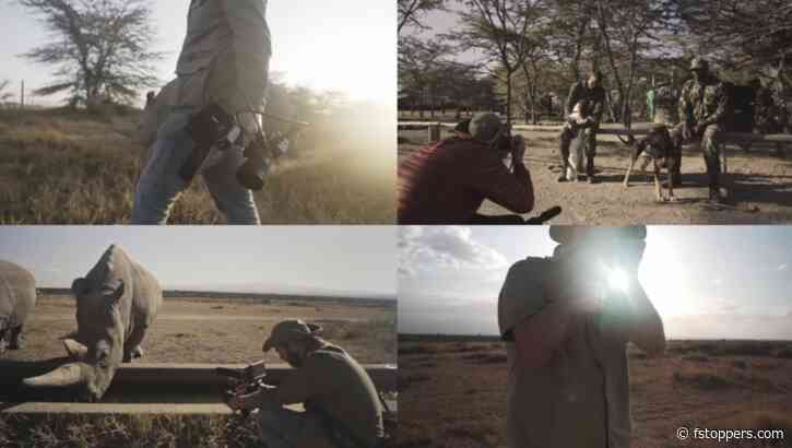 Helpful Advice for Earning Money With Your Photography