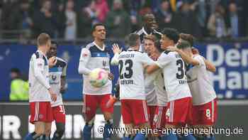 Alles klar fürs Top-Duell: Darmstadt und HSV siegen