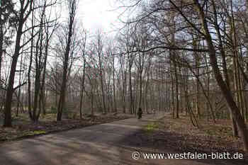 Bad Oeynhausen setzt (sich) aufs Rad