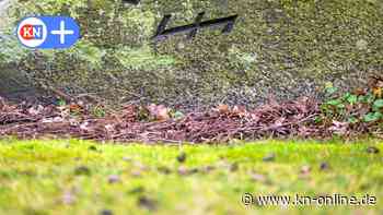 Rechtsradikale: Wie völkische Siedler in der Region Bienenbüttel wieder für Schlagzeilen sorgten