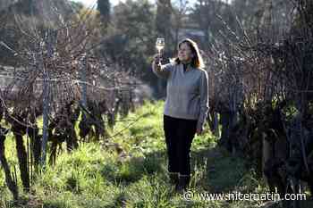 Le Pétale de rose de Gassin, itinéraire d’un vin iconique