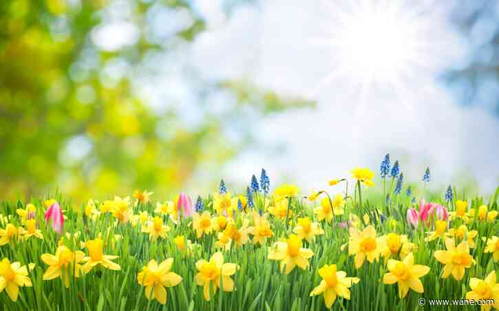 What is the difference between meteorological and astronomical spring?