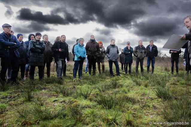 Buurtbewoners reageren kritisch op herinrichtingsplan De Liereman: “De echte natuurliefhebber zie je hier niet meer”