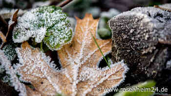 Polarwirbel könnte zerbrechen: Kommt jetzt ein Winter-Einbruch in Deutschland?