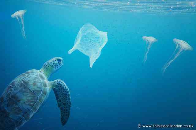 Ocean Conservation Going Viral: Tom Price, Kingston Grammar