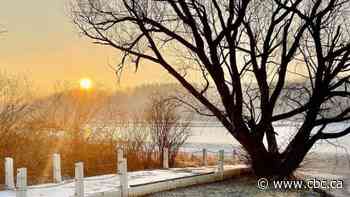 From museums to free art exhibits, here's what's on this Family Day in Hamilton and Niagara Falls