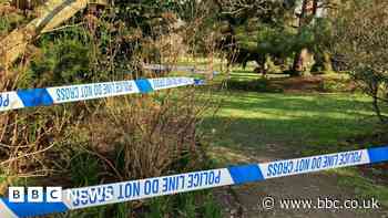 Southampton: Man arrested after woman raped in city centre park