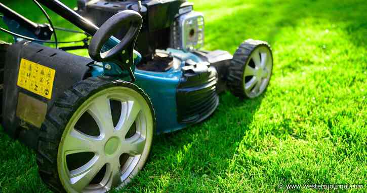 We Called It: Dems Now Coming for Your Gas Lawn Mowers and at Least 7 Other Items