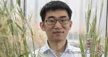 Geneticists eye new crop traits