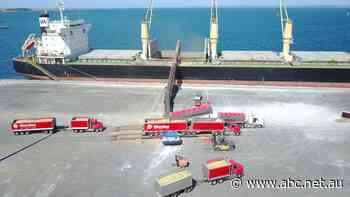 Farmers cut out the middleman to ship their own grain to Oman