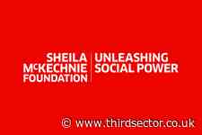 Campaigning charities are used as 'ammunition' in culture wars - report