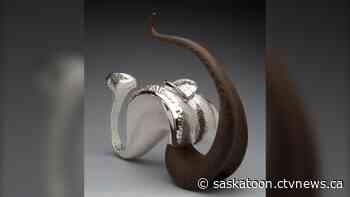 Saskatoon artist lauded at Montreal Museum of Fine Arts exhibition