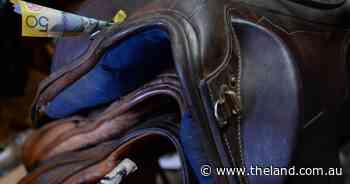 Ashford Show gets grant for horse stalls