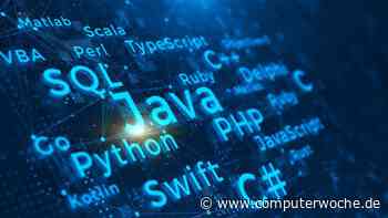 Gefragte Entwickler-Skills 2023: Damit punkten Programmierer richtig